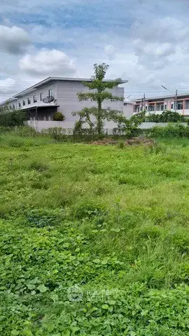1,492 m² Land for Sale in Pa Phai — ภาพ 4
