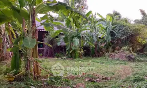 3-BR House in Chae Chang — photo 4