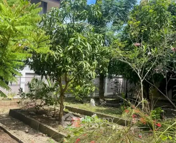 4-BR House in Wiang — photo 6