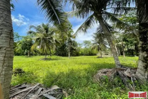 Land in Pa Klok, Thailand 24000 sq.m. — photo 4