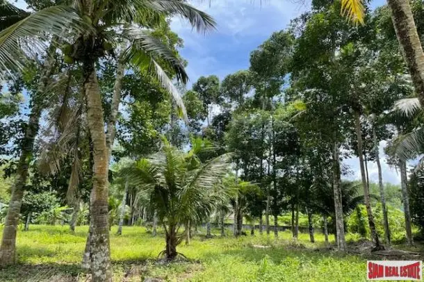 Land in Pa Klok, Thailand 24000 sq.m. — photo 3
