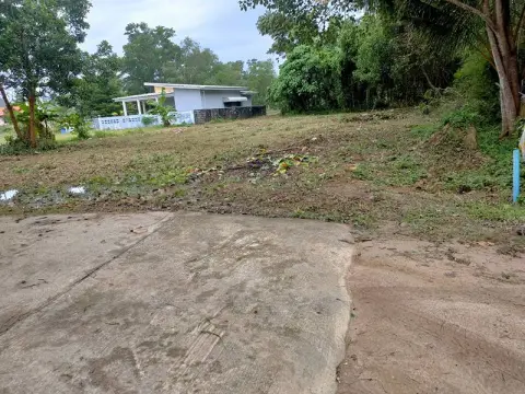 Land in Phuket, Thailand 1200 sq.m. — photo 5
