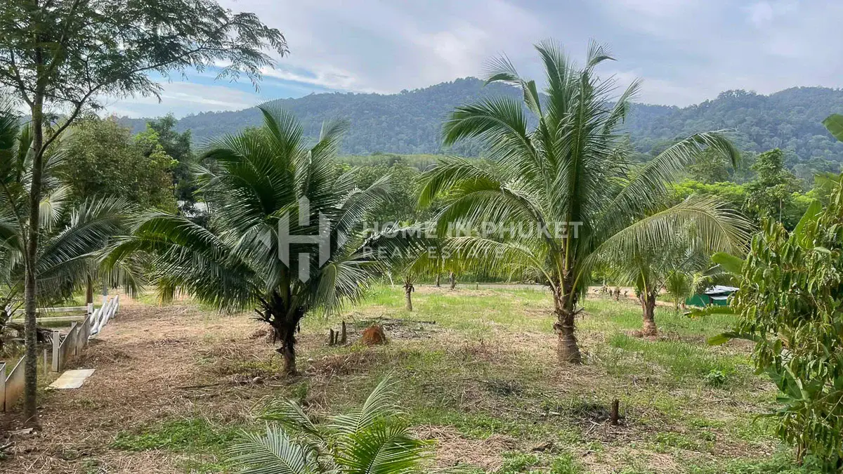 Land in Phuket, Thailand — ภาพ 3