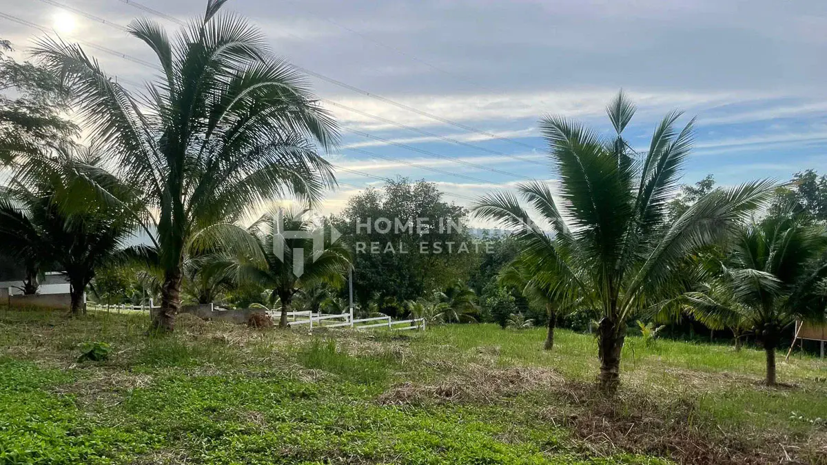Land in Phuket, Thailand — ภาพ 5