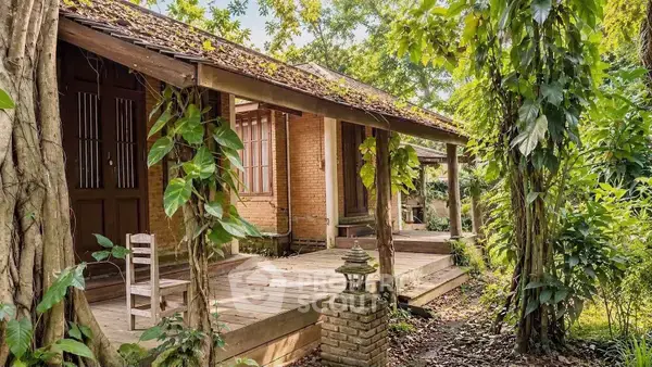 5-BR House close to Maejo University — ภาพ 4