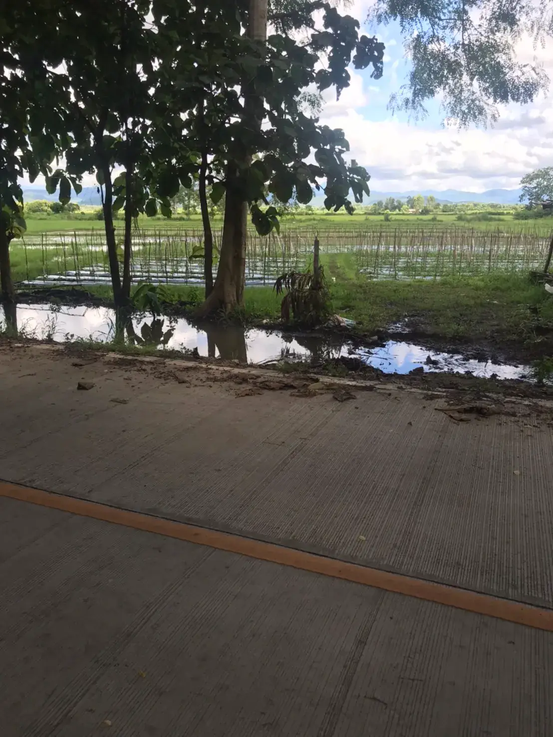 Land in Chiang Mai, Thailand — photo 4