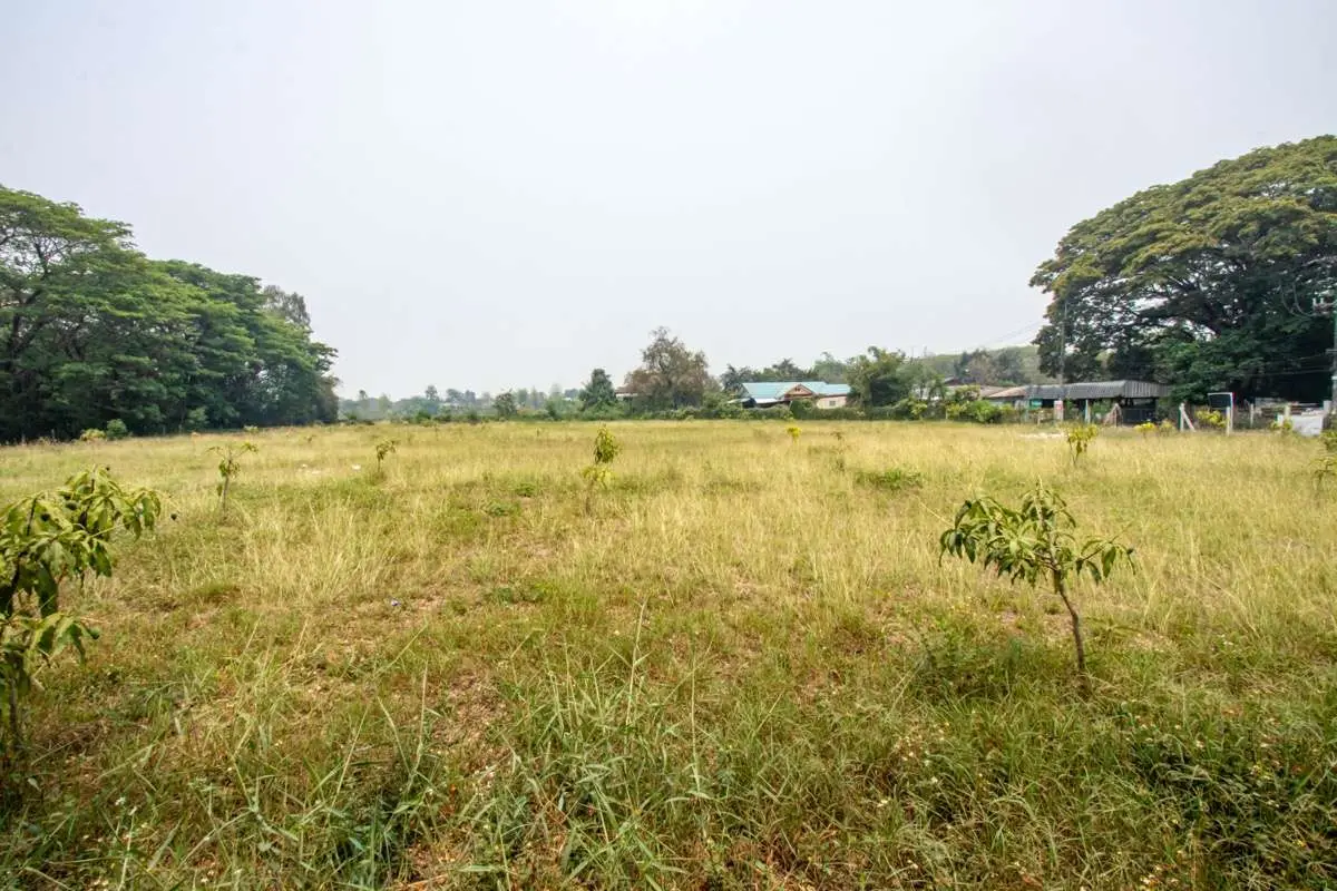 Land in Chiang Mai, Thailand 5 sq.m. — photo 7