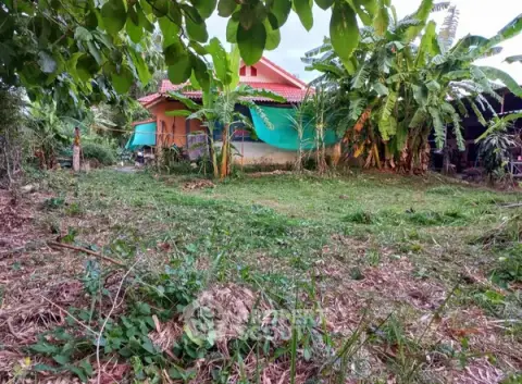 4-BR House in Chae Chang — photo 5