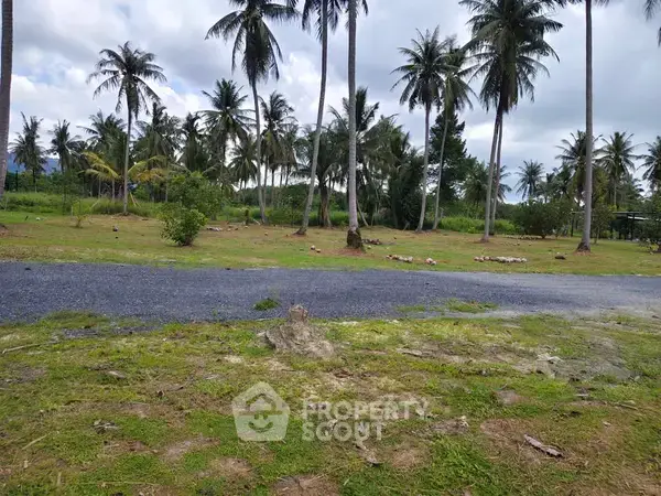 1-BR House close to Paklok — photo 6