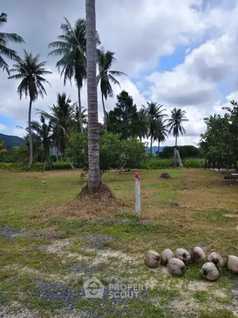 1-BR House close to Paklok — photo 4