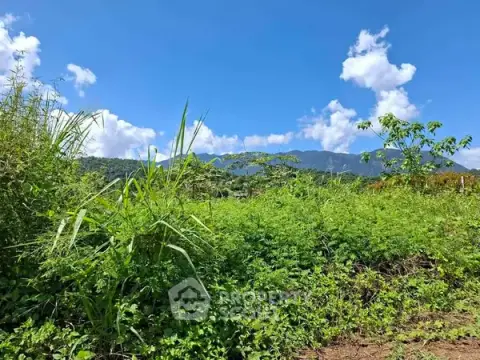 Studio House in Chiang Dao — ภาพ 5