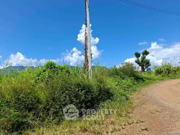 Studio House in Chiang Dao — ภาพ 7