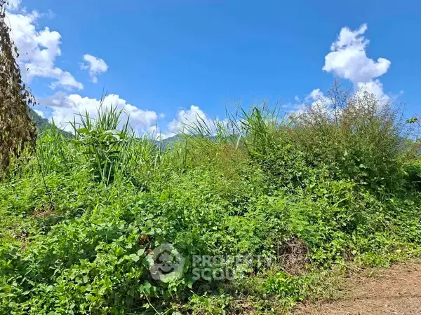Studio House in Chiang Dao — ภาพ 6