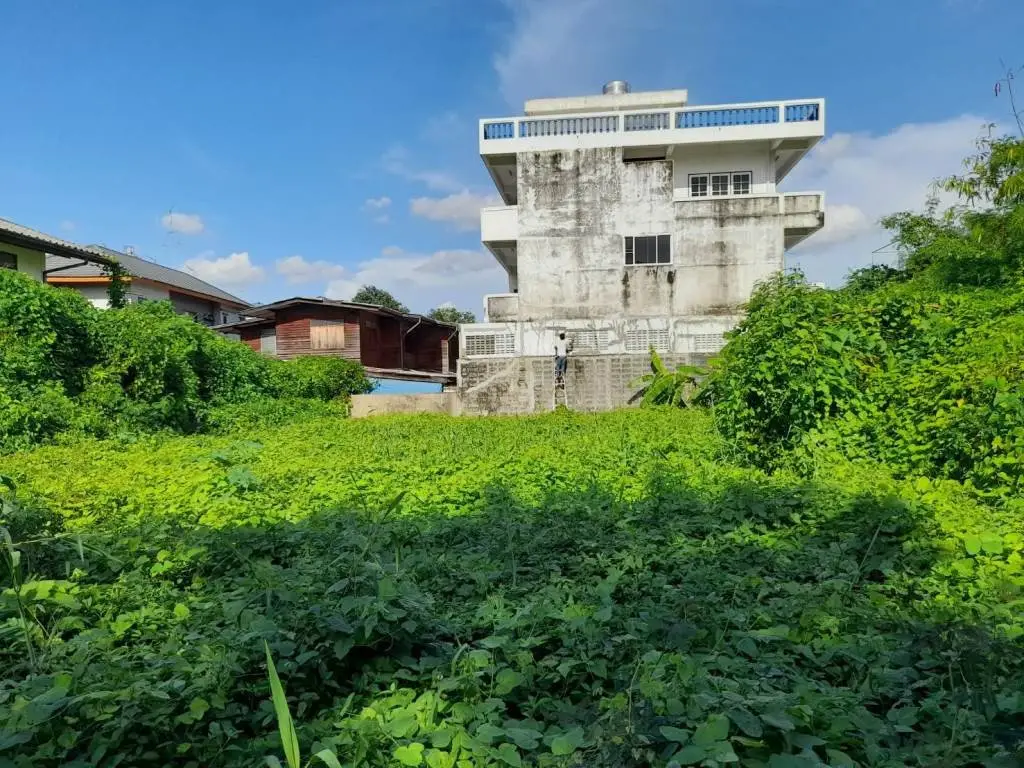 Land in Bangkok, Thailand — photo 2