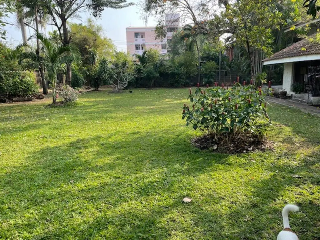 Land in Bang Kapi, Bangkok, Thailand — photo 10