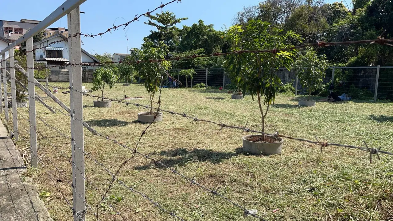 Land in Bangkok, Thailand 800 sq.m. — ภาพ 3