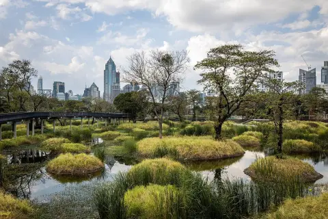 Land in Bangkok, Thailand — 照片 4