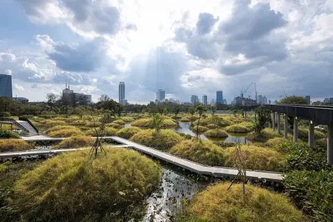Land in Bangkok, Thailand — 照片 3