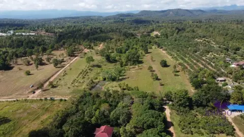 Land in Mae Taeng, Thailand — photo 5