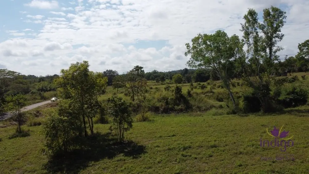 Land in Mae Taeng, Thailand — photo 10