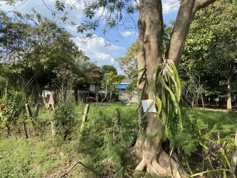 Land in San Kamphaeng, Thailand — ภาพ 5