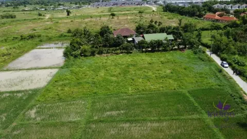 Land in San Sai, Thailand — photo 5