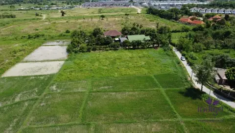 Land in San Sai, Thailand — photo 4
