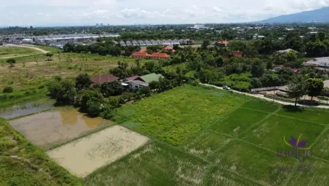 Land in San Sai, Thailand — photo 3