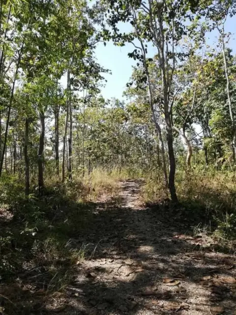 Land in Mae Taeng, Thailand — photo 5