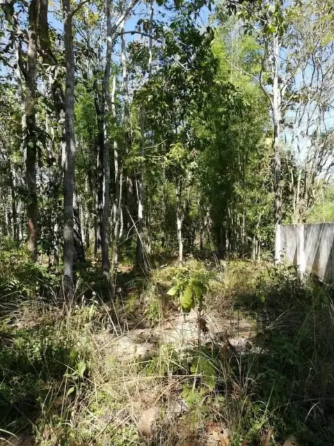 Land in Mae Taeng, Thailand — photo 3