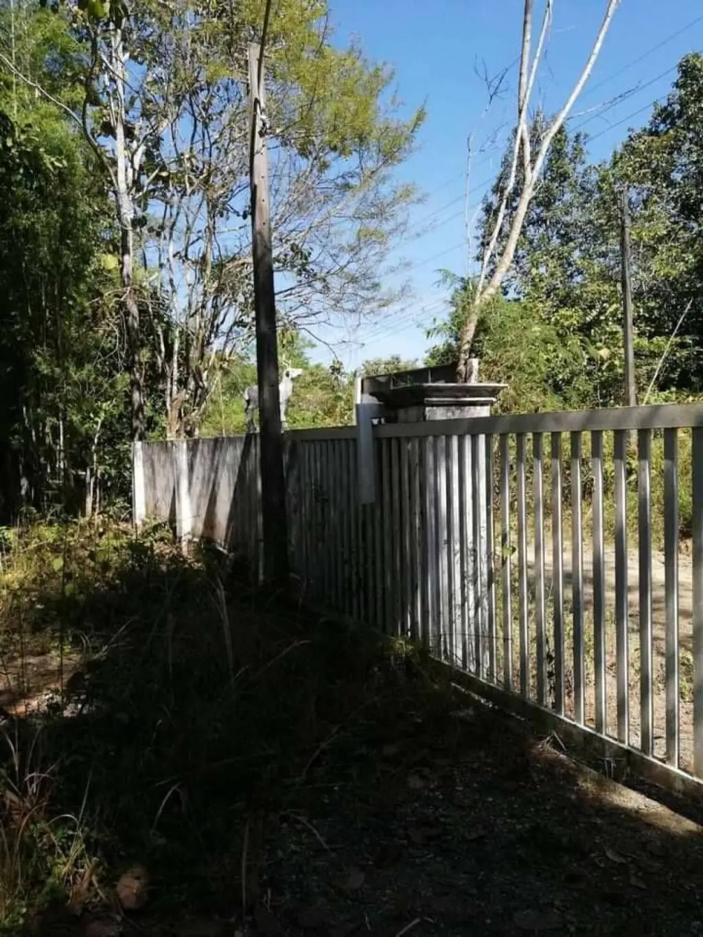 Land in Mae Taeng, Thailand — photo 2