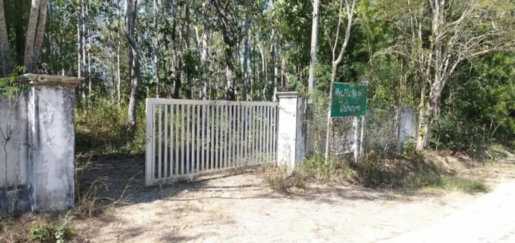 Land in Mae Taeng, Thailand — photo 7