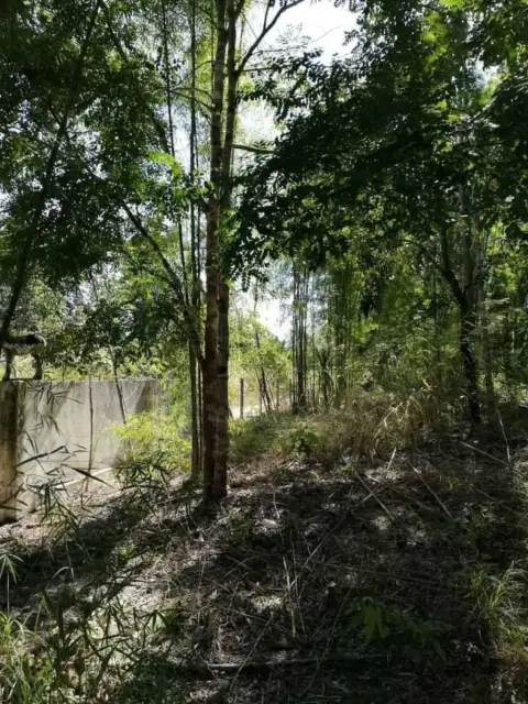 Land in Mae Taeng, Thailand — photo 4