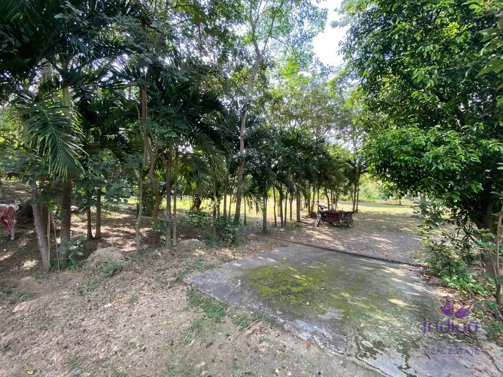 Land in San Pa Tong, Thailand — ภาพ 7