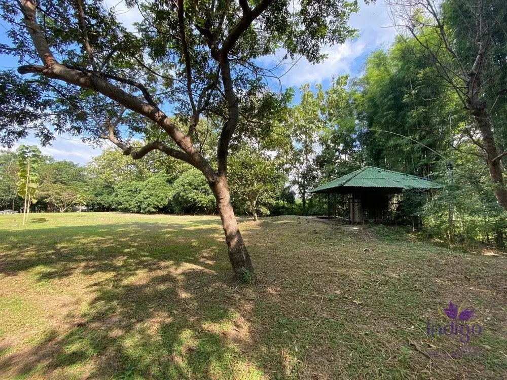 Land in San Pa Tong, Thailand — ภาพ 9