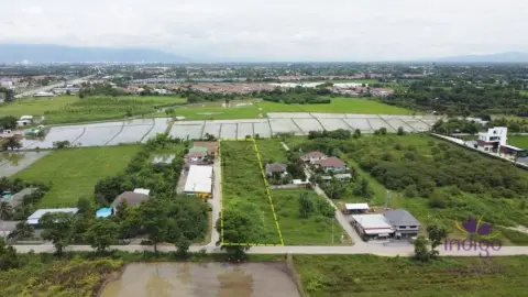 Land in San Kamphaeng, Thailand — фото 3