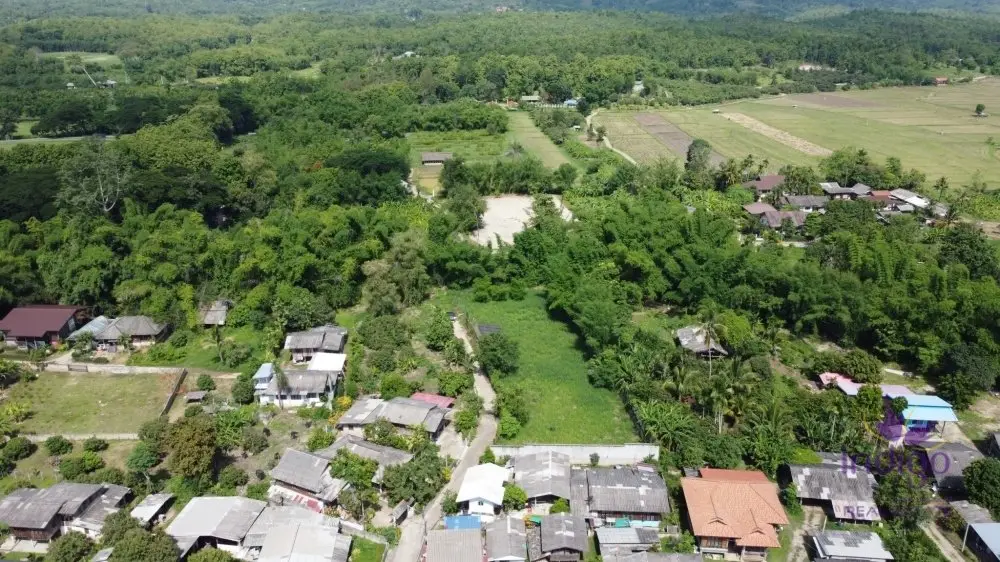 Land in Mae Rim, Thailand — photo 6