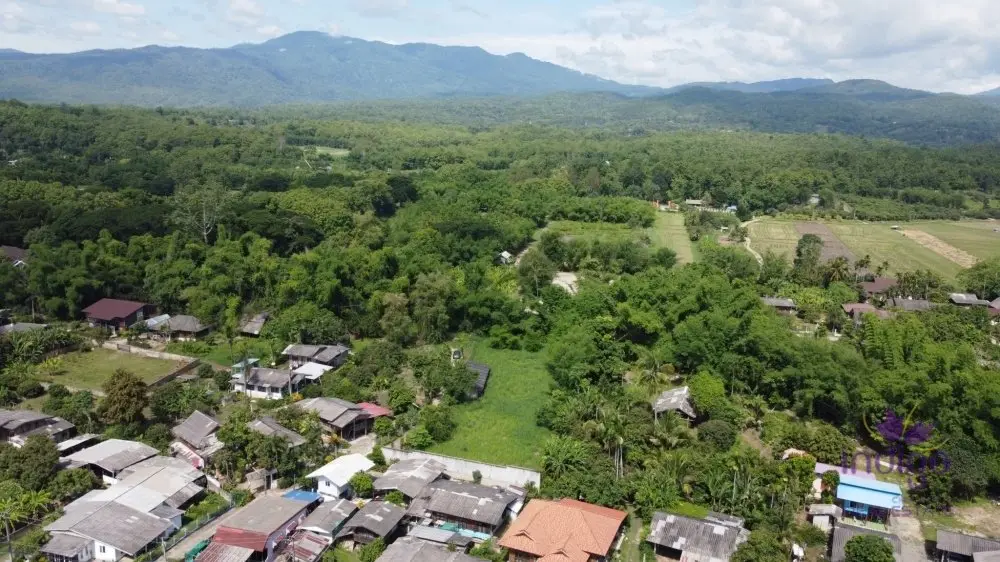 Land in Mae Rim, Thailand — photo 7