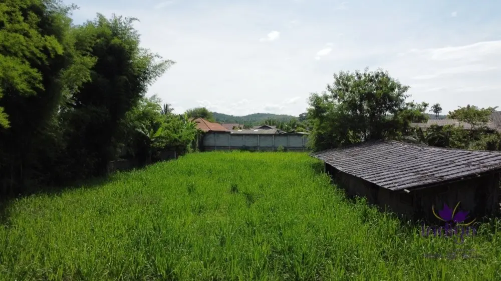 Land in Mae Rim, Thailand — photo 8