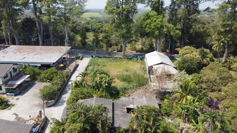 Land in Saraphi, Thailand — photo 10