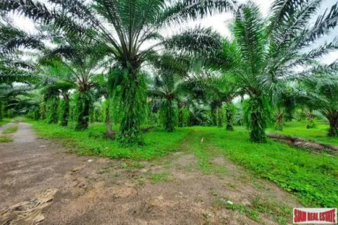 Land in Krabi, Thailand 178788 sq.m.