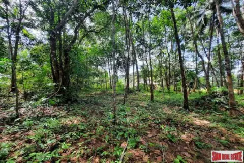 Land in Krabi, Thailand 3672 sq.m.