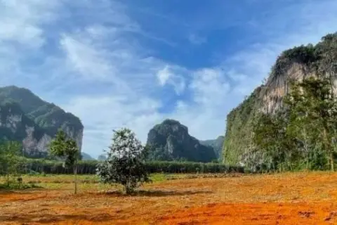 Land in Krabi, Thailand