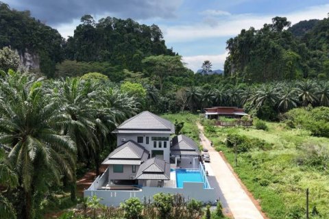 Villa in Krabi, Thailand 7 bedrooms № 125777