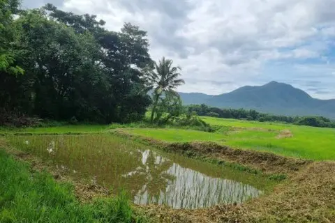 Land in Chiang Mai, Thailand