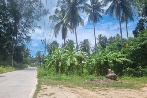Land in Surat Thani, Thailand