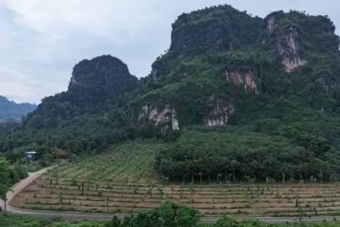 Land in Krabi, Thailand