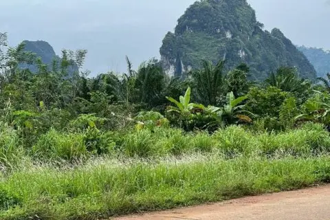 Land in Krabi, Thailand