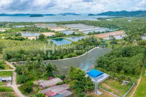 Land in Phuket, Thailand