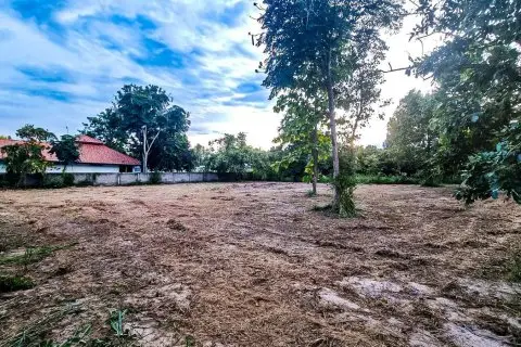 Land in Chiang Mai, Thailand
